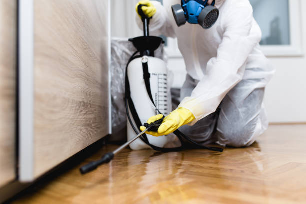 Best Pest Inspection Near Me  in Waynesburg, OH
