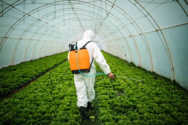 Best Local Pest Control Services  in Waynesburg, OH