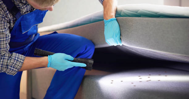 Best Affordable Pest Control Services  in Waynesburg, OH