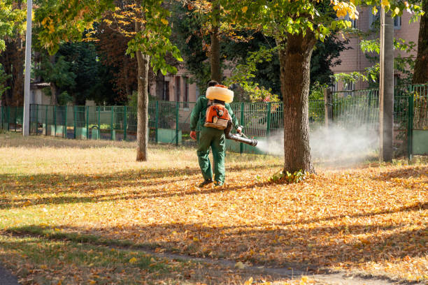Best Mosquito Control Services  in Waynesburg, OH
