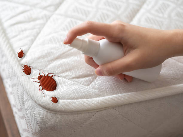 Best Best Pest Control Companies  in Waynesburg, OH