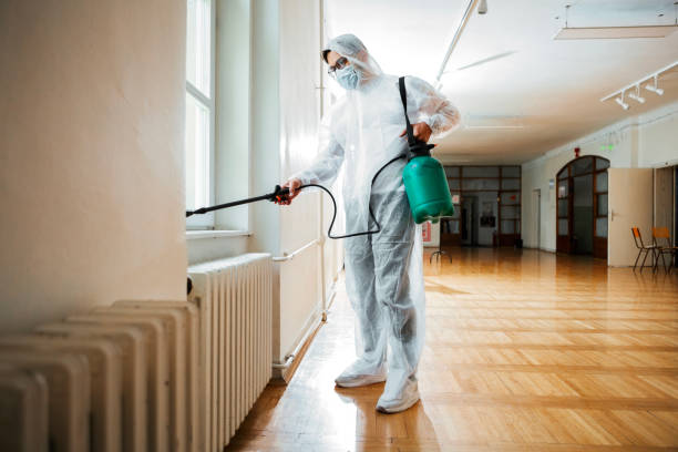Best Wasp Removal Services  in Waynesburg, OH