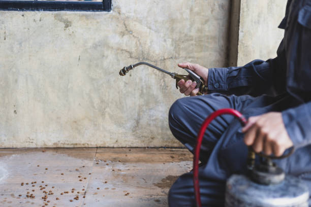 Best Pest Removal Services  in Waynesburg, OH