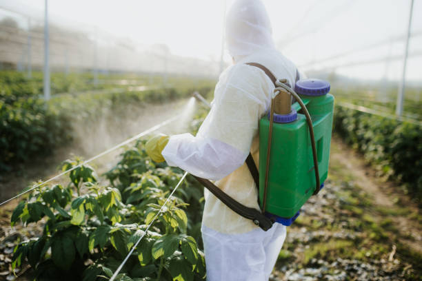 Trusted Waynesburg, OH Pest Control Experts